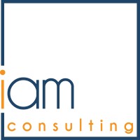 iam consulting logo - Similar company to Elephanthop