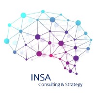 INSA - Consulting & Strategy logo - Similar company to Analytics10