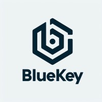 Bluekey Global LLC logo - Similar company to Techneeq