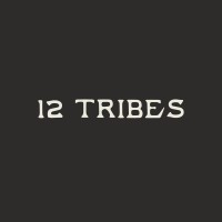 12 Tribes Media logo - Similar company to Mg Creative Agency