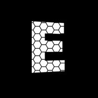 Element Gym logo - Similar company to 100 Black Men, Twin Cities