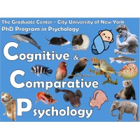 Cognitive and Comparative Psychology PhD - CUNY Graduate Center, Psychology Program logo - Similar company to Isps-Us