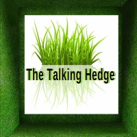 The Talking Hedge logo - Similar company to Tomorrow