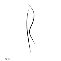 Riposa Urns logo - Similar company to Urns