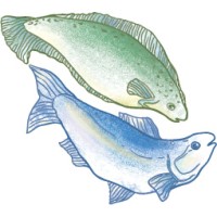 For All The Fish