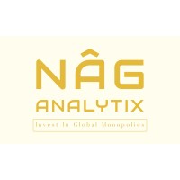 NAG ANALYTIX LLC logo - Similar company to Govconnect