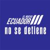 COSEDE Ec logo - Similar company to Unidad De Análisis Financiero Y Económico (Uafe)