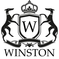 Brian Winston LLC logo - Similar company to Pretty Thingz