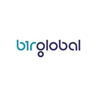 Birglobal logo - Similar company to Bi̇r Global A.Ş.