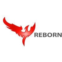 Reborn Pakistan logo - Similar company to Voice Of Nation
