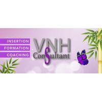 VNH CONSULTANT logo - Similar company to Legal Wave