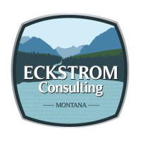 Eckstrom Consulting logo - Similar company to Auxi Solutions