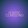 Holistic IT Consulting Services logo - Similar company to Comparetech