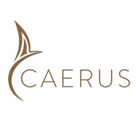 Caerus Corporation logo - Similar company to Dassiet