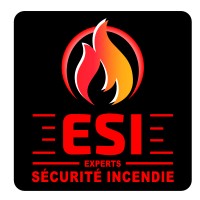 Experts sécurité Incendie logo - Similar company to Securisk