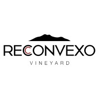 Vinícola Reconvexo logo - Similar company to Empório Sem Álcool