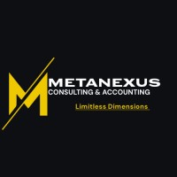 MetaNexus Consulting & Accounting logo - Similar company to Metanexus