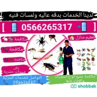 شركة رش حشرات بالمدينة المنورة 0566265317 شركة حلا كلين لمكافحة الحشرات بالمدينة المنورة logo - Similar company to شركة رش مبيدات الحشرات بالمدينة المنورة