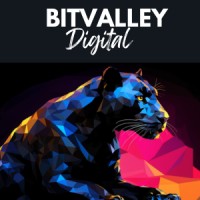 Bitvalley Digital logo - Similar company to Metisc