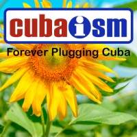 Cubaism Ltd