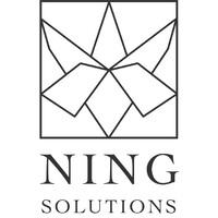 Ning Solutions logo - Similar company to Spenga Ballston