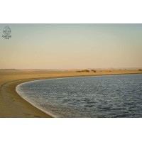 . logo - Similar company to Black Cherry