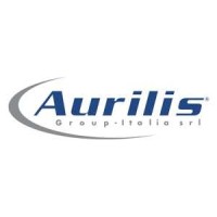 GVI SRL logo - Similar company to Aurilis Group
