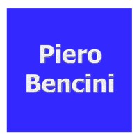 Piero Bencini - Hotel Revenue Management Solutions logo - Similar company to Hotel Berchielli