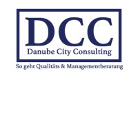 Danube City Consulting