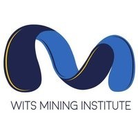 Wits Mining Institute logo - Similar company to Sculptors