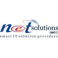 Net Solutions DMCC logo - Similar company to Elixir Bace