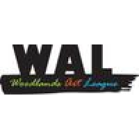 Woodlands Art League logo - Similar company to V-17 Advisory Llc