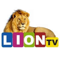 lion tv media logo - Similar company to Rarefied Studio