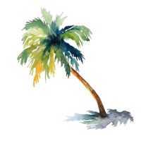 The Media Palm