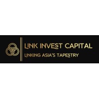 Link Invest Capital logo - Similar company to Zoccolillo®️