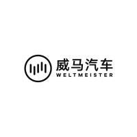 WM Motor 威马汽车 logo - Similar company to Zhidou Ev Worldwide