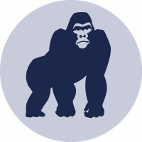 BlueKong Networks logo - Similar company to Tech-Collective Ltd