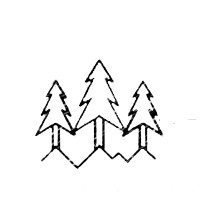 Three Tree Holdings logo - Similar company to Three Treez