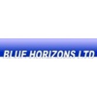 Blue Horizons Ltd. logo - Similar company to Pi Business Consulting Limited