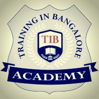 TIB Academy logo - Similar company to Codemithra