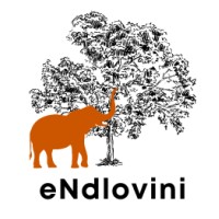 eNdlovini Mining logo - Similar company to Manengena Mining Contractors