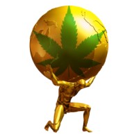 Clean Crop Solutions logo - Similar company to Biotools, Inc.