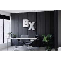 Banixs Inc logo - Similar company to Fourstrides