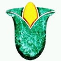 Lotus Group logo - Similar company to Verona Developments