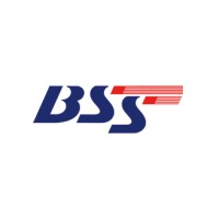 Beyond Soft Solutions logo - Similar company to Beyondsoft