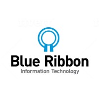 Blue Ribbon IT logo - Similar company to Theo Transformation Advisory