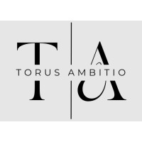 Torus Ambitio AI Tech Labs Pvt Ltd logo - Similar company to Study Ai