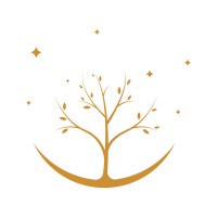 Sleep Tree logo - Similar company to Cognicity Pty Ltd