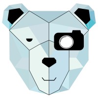 Polar Stomp Production logo - Similar company to Solvemen Asia