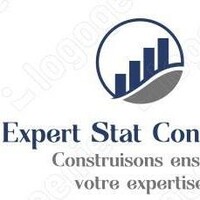 Cabinet Expert Stat Consulting Officiel logo - Similar company to Dceg (Development Consulting & Engineering Group)